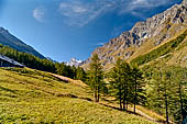 L'alta Val di Rhemes con in fondo il Granta Parey (3387 m).